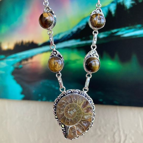 Silverskylight2 Jewelry - 925 sterling silver overlay genuine fossil shell ammonite & tiger eye necklace